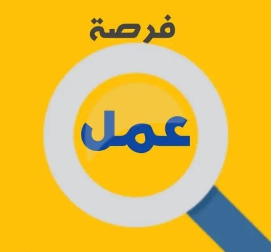 آنسات لشركة جملة و تصدير ملابس بعباس العقاد من ١ظ إلى ١٠م