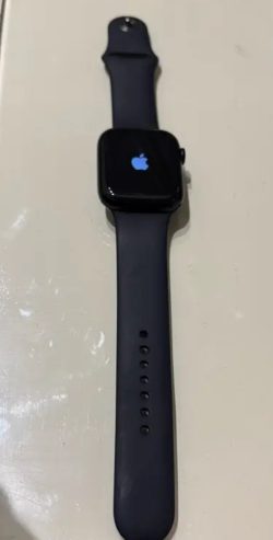 Apple Watch Series 8 (45mm)