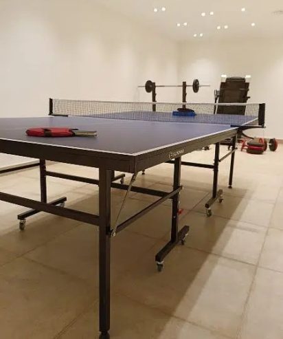 ping pong table