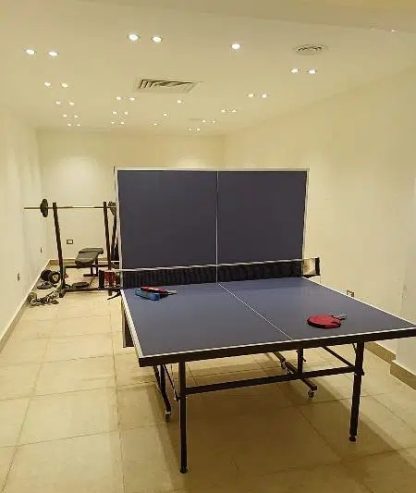 ping pong table