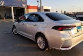 تويوتا كورولا للايجار toyota corolla for rent